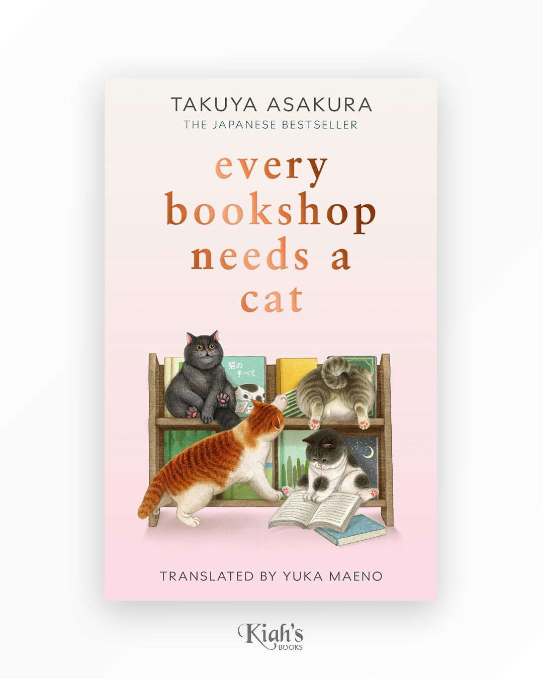 Every Bookshop Needs a Cat