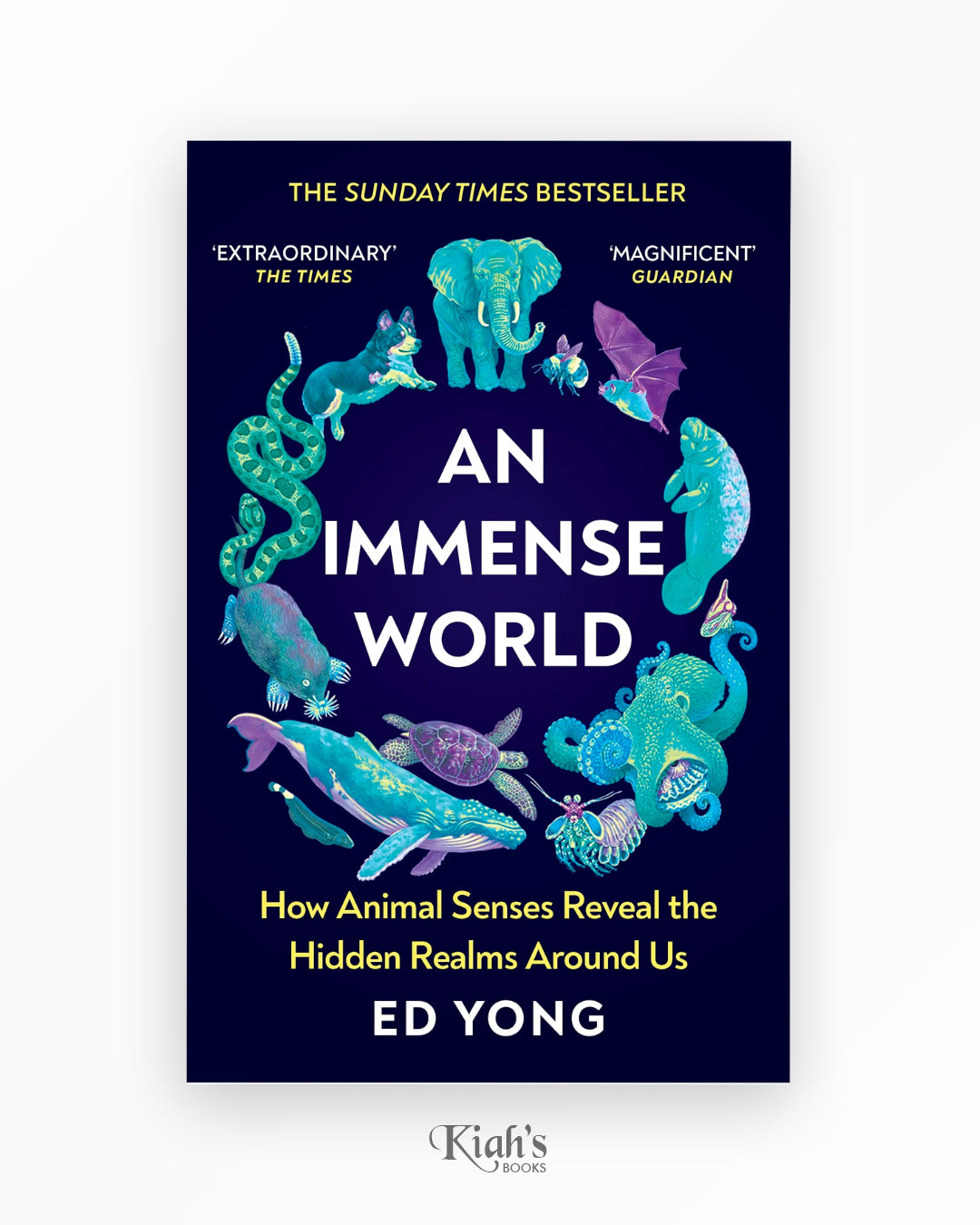 An Immense World