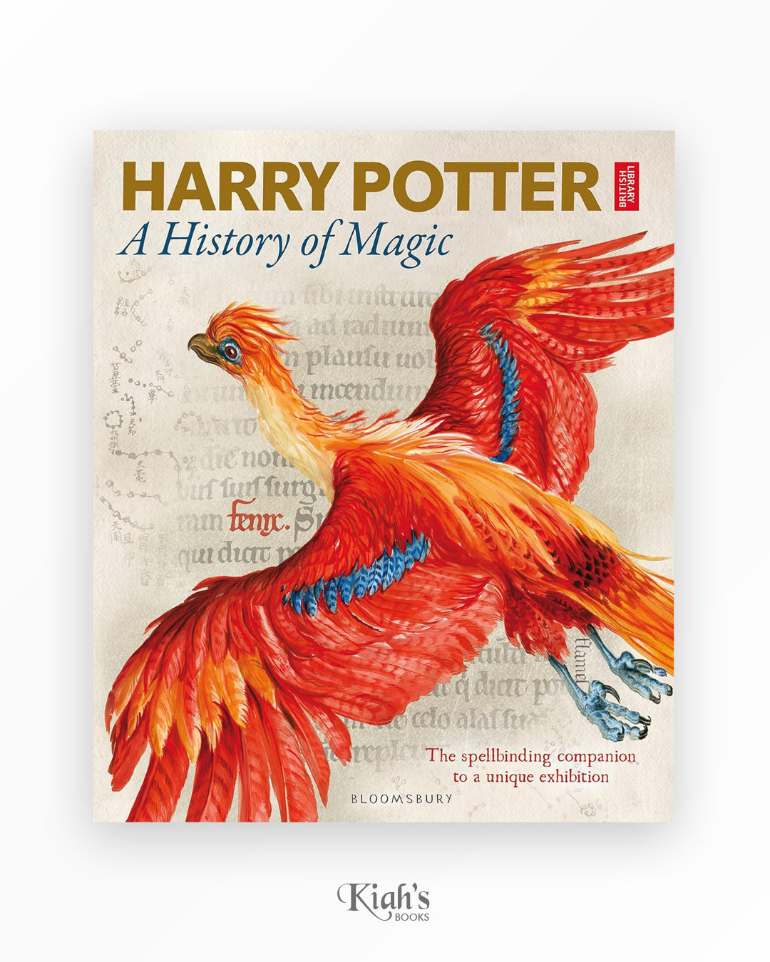 Harry Potter A History Of Magic