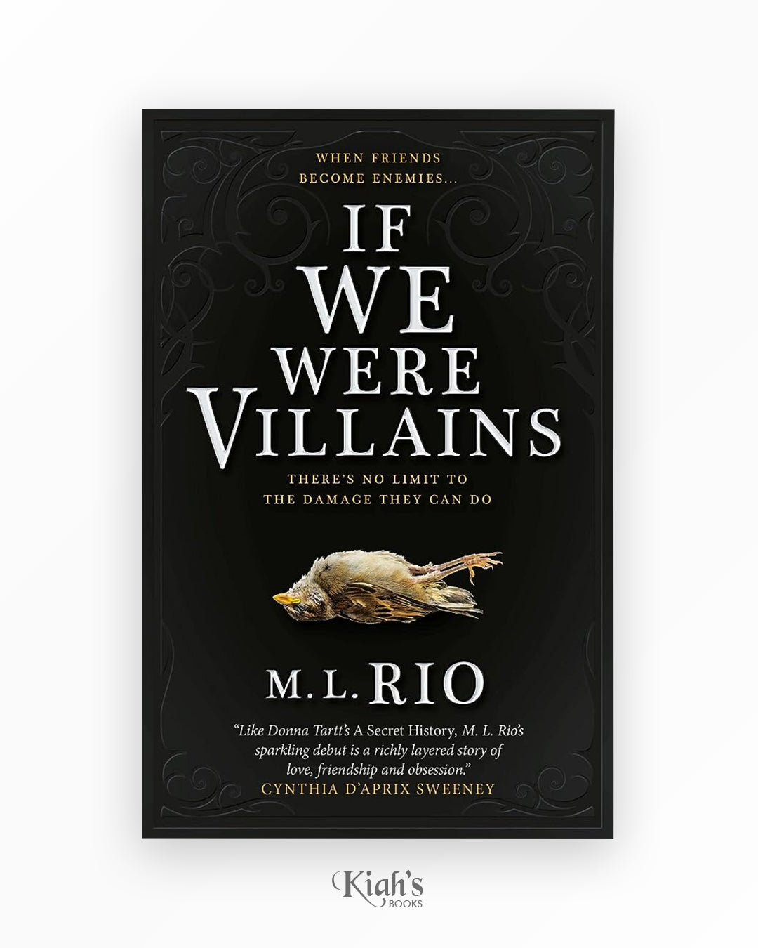If We Were Villains